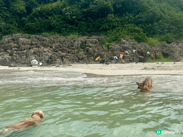 香港其實都有好多郊外地方可以去發掘！以上嘅郊外相都係一啲平時...