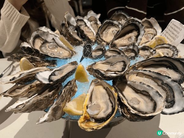 餐廳推介 生蠔🦪，由拍拖到結婚生仔，食左10幾年 水準仍然k...