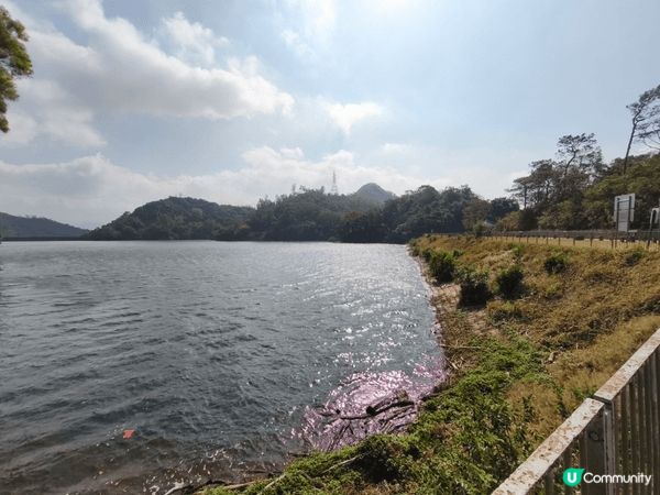城門水塘、尖沙咀海傍及港島大風坳均為港人及許多遊客熟悉的打卡...