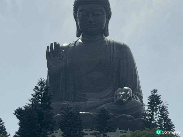 香港天壇大佛、尖沙咀柏麗大道及尖沙咀碼頭，原因是以上全部為香...