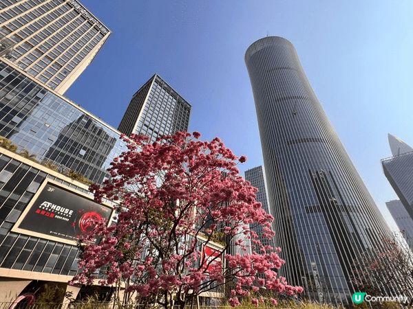 深圳灣后海匯地方很大很新，而且Andaz酒店自助餐好吃。
