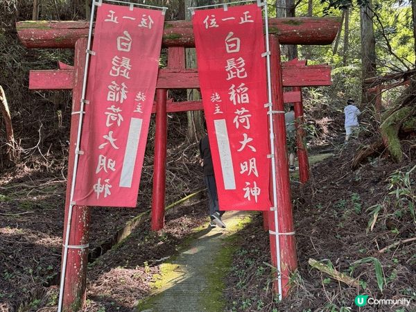 日本朝聖之旅，遊走京都、大阪到和歌山，探訪當中現代和傳統的融...