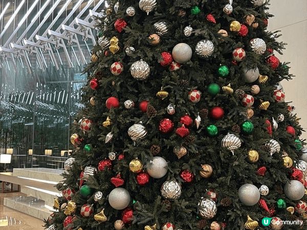 Christmas spirit is in the air...