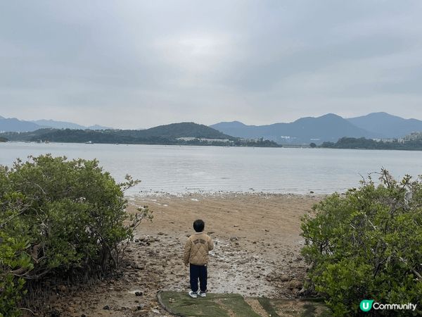 親子好去處，近近camping, 3日2夜，BBQ, 放風箏...