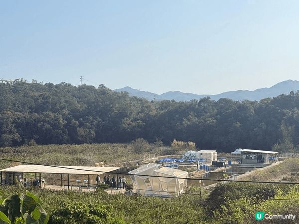 鹽田梓美食 ! 郊遊之後叉下電，各樣嘢都好好味！ 柴火雞最好...