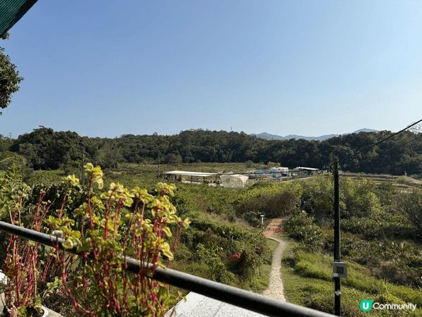 鹽田梓美食 ! 郊遊之後叉下電，各樣嘢都好好味！ 柴火雞最好...