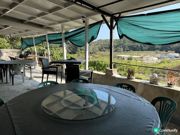 鹽田梓美食 ! 郊遊之後叉下電，各樣嘢都好好味！ 柴火雞最好...