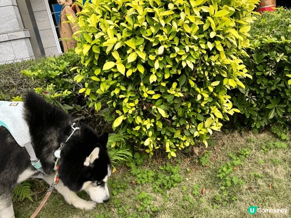 香港其實有很多好去處