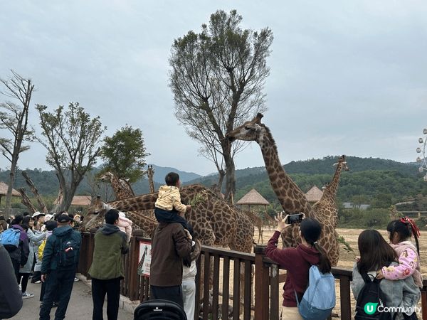 清遠森林王國是一個幾值得一遊的地方。園內有好多非洲先有的動物...