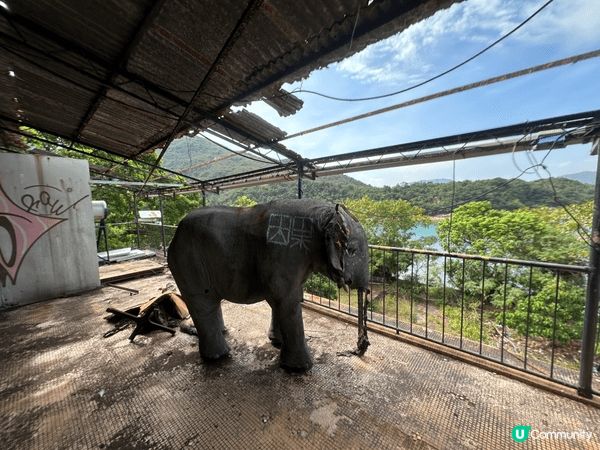 參加康文署獨木舟沙灘之旅（東丫）一日遊
