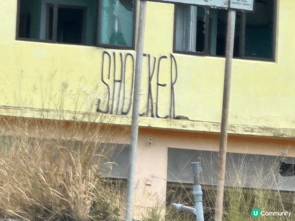 參加康文署獨木舟沙灘之旅（東丫）一日遊