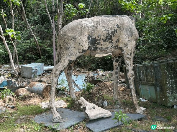 參加康文署獨木舟沙灘之旅（東丫）一日遊
