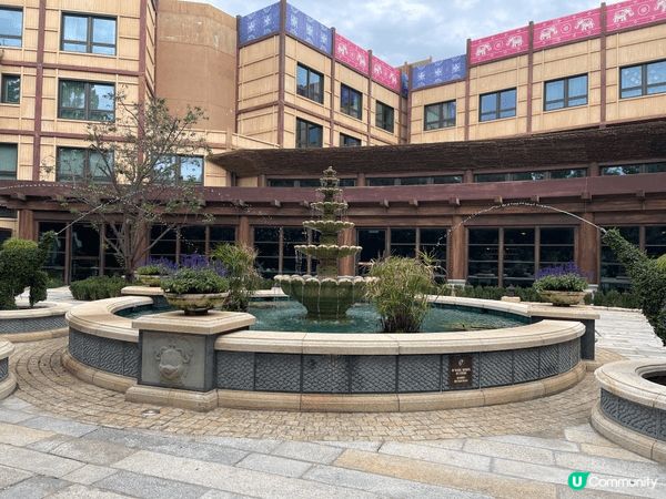 今年收到一份驚喜禮物🎁— 迪士尼度假區住宿券😍