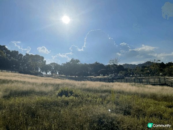 走進中山古香林公園，彷彿進入了一個詩意的世外桃源。這裡有百年...
