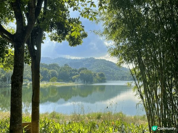 走進中山古香林公園，彷彿進入了一個詩意的世外桃源。這裡有百年...