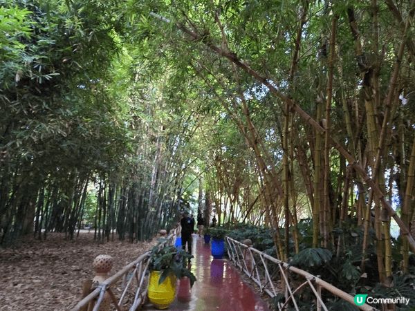 時裝大師的花園