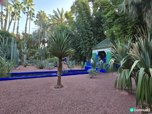 時裝大師的花園