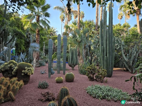 時裝大師的花園