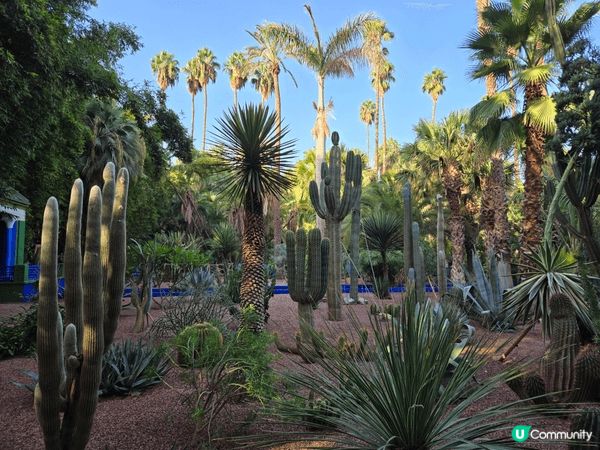 時裝大師的花園