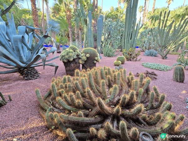 時裝大師的花園