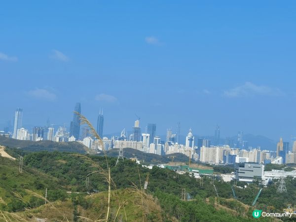 北部都會區，上水華山軍路，北望神州，陽光之下芒草片片