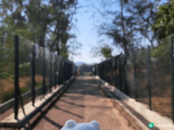 到葵涌公園以拍照記錄當下生活日常，感恩！