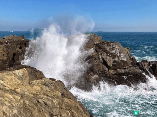 我會推介位於西貢區最南端的島嶼東龍島，島上面有多個著名景點，...