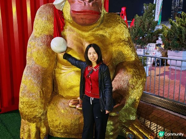 AIA Carnival友邦嘉年華集合刺激機動遊戲、繽紛霓虹...