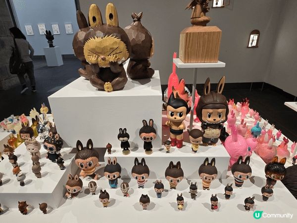 Labubu的現在與未來