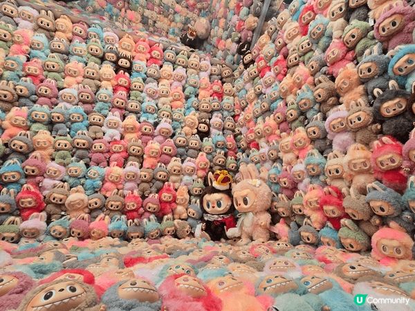 Labubu的現在與未來