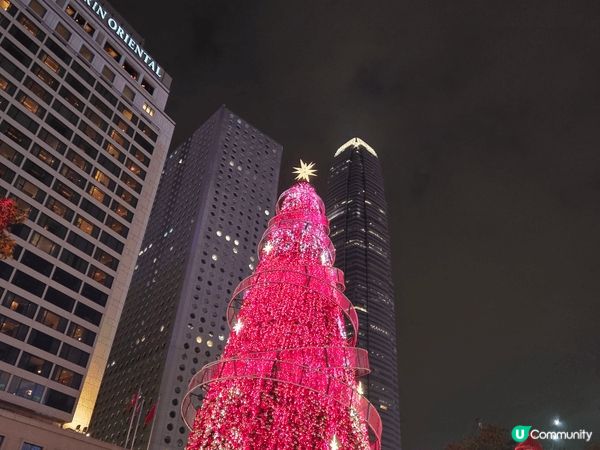 今年聖誕節的香港特別美麗，尤其是港島中環街道上的燈飾和聖誕樹...