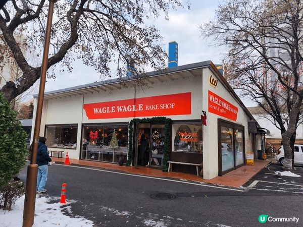 韓國-真係一個好浪漫嘅地方，幸好回程之前遊行見到初雪。韓國嘅...