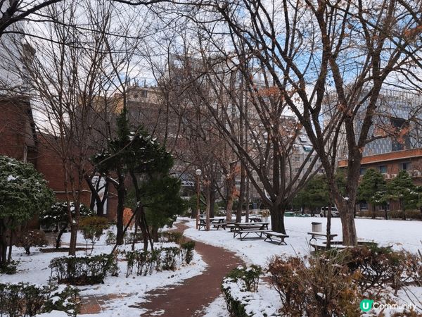 韓國-真係一個好浪漫嘅地方，幸好回程之前遊行見到初雪。韓國嘅...