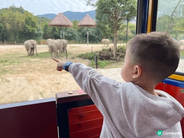 一家大細最適合去清遠長隆森林王國，小朋友玩得開心，爸爸媽媽又...