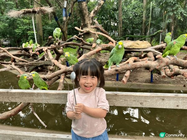 廣州長隆動物園和歡樂谷好適合一家大細去既主題樂園。基本上好難...