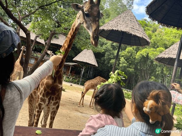 廣州長隆動物園和歡樂谷好適合一家大細去既主題樂園。基本上好難...