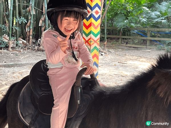 廣州長隆動物園和歡樂谷好適合一家大細去既主題樂園。基本上好難...