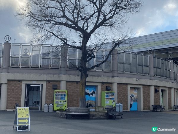 大阪動物園，去到有落小雪小朋友開心到不得了，而且有很多動物，...