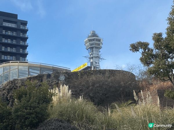 大阪動物園，去到有落小雪小朋友開心到不得了，而且有很多動物，...