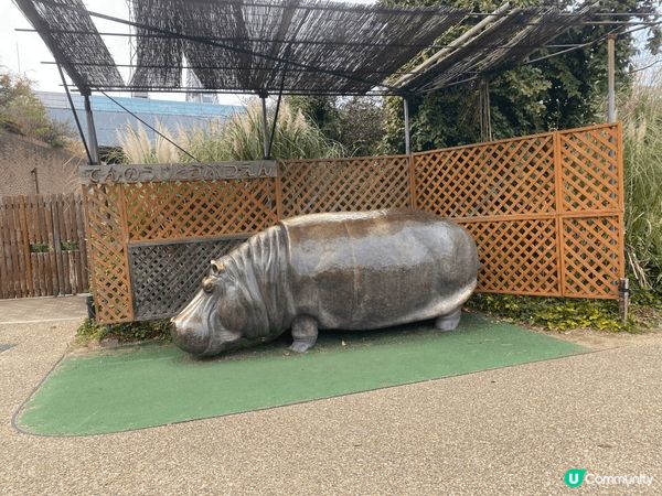 大阪動物園，去到有落小雪小朋友開心到不得了，而且有很多動物，...