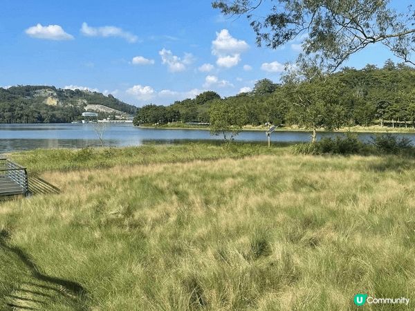 走進中山古香林公園，彷彿進入了一個詩意的世外桃源。這裡有百年...