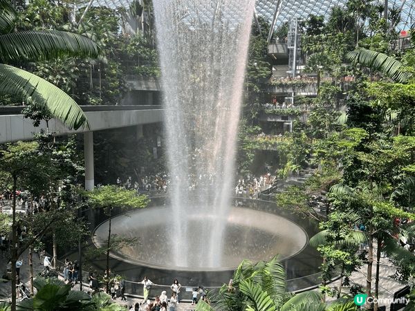 Singapore！絕對係適合親子遊嘅好地方。住宿乾淨、交通...