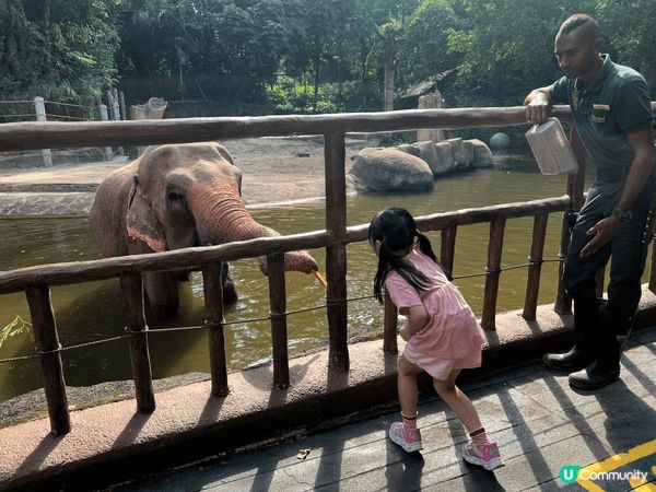 Singapore！絕對係適合親子遊嘅好地方。住宿乾淨、交通...