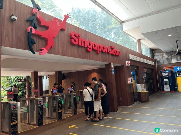 Singapore！絕對係適合親子遊嘅好地方。住宿乾淨、交通...