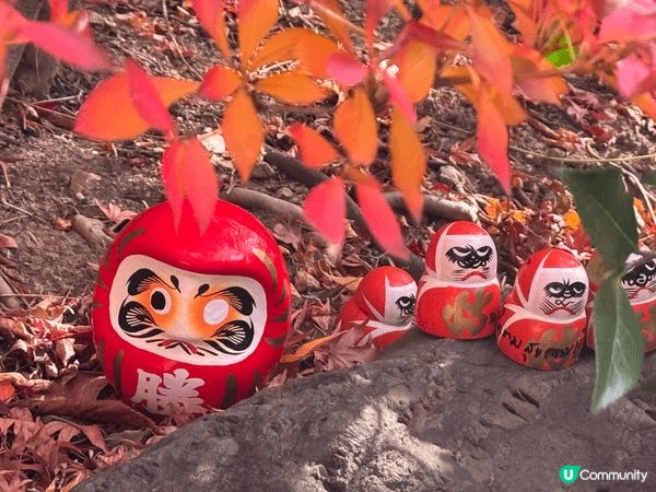 大阪勝尾寺、離巿區大概一小時車程，整間寺院到處都是達摩，十分...