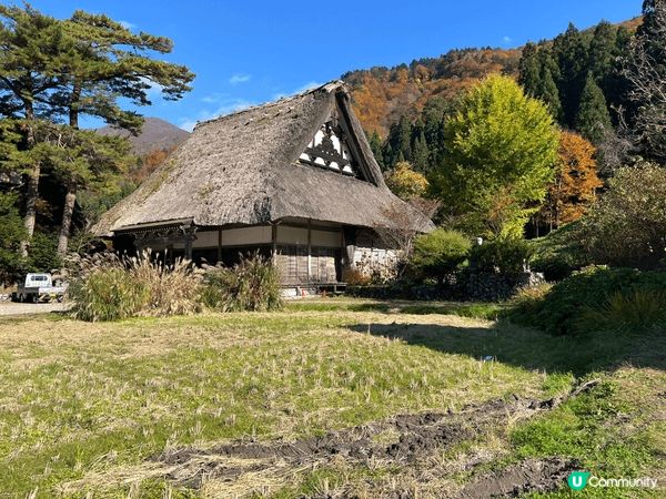 日本秋冬紅葉風景十分值得旅行人士打卡,風景優美,景色怡人,令...