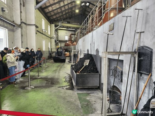 剛剛去完北海道余市的威士忌蒸餾所，十分值得參觀，又可以即場試...