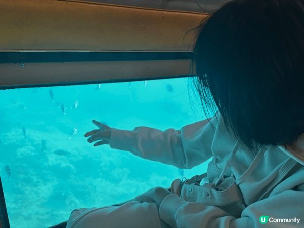 沖縄県那覇市通堂町２−1，海底船體驗，在船上可以買餘糧在海中...