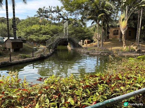 深圳動物園，好多動物睇，仲可以近距離接觸，又可以餵佢地食野，...