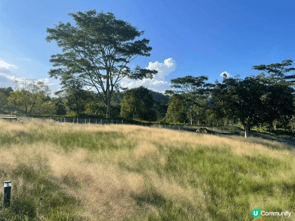 走進中山古香林公園，彷彿進入了一個詩意的世外桃源。這裡有百年...